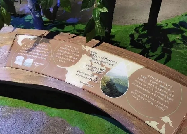 畅游梦幻巧克力世界：上海百诺巧克力博物馆