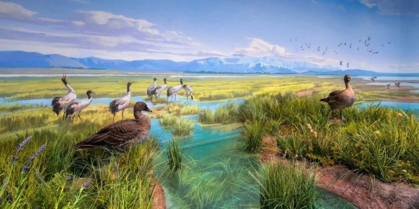 青海省自然资源博物馆:大美青海-三江之源-自然之窗-生态屏障 青海省自然资源博物馆:大美青海-三江之源-自然之窗-生态屏障