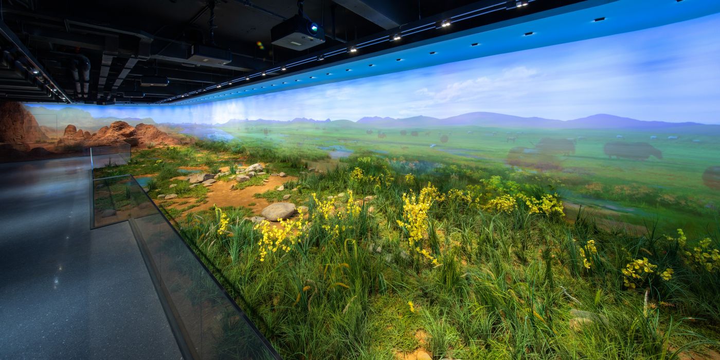 青海省自然资源博物馆:大美青海-三江之源-自然之窗-生态屏障 青海省自然资源博物馆:大美青海-三江之源-自然之窗-生态屏障