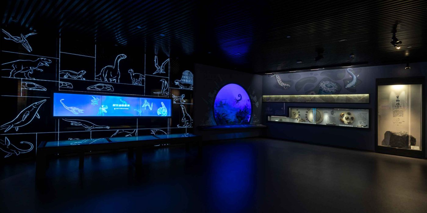 贵州地质博物馆-神秘贵州厅：古生物王国