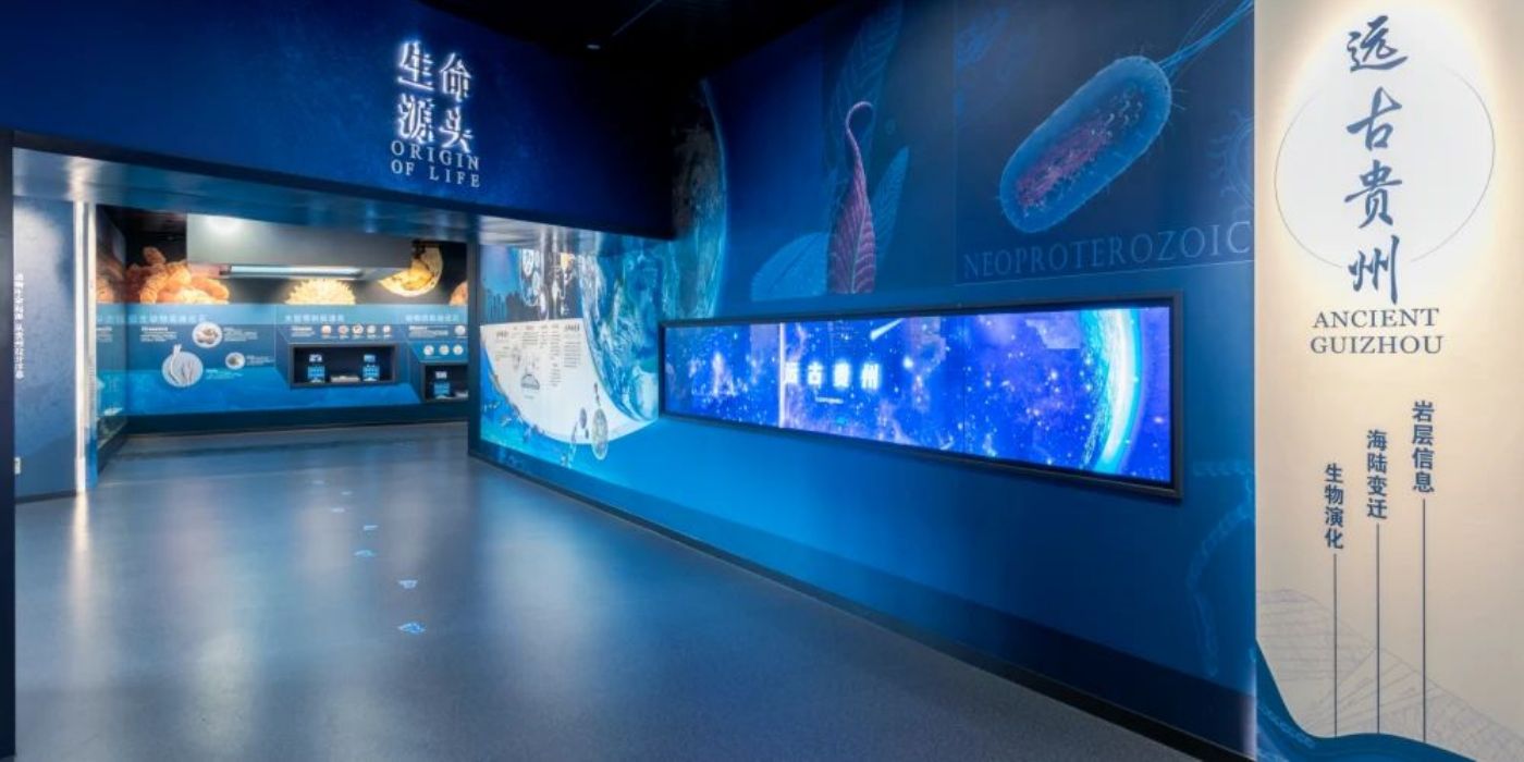 贵州地质博物馆-神秘贵州厅：古生物王国