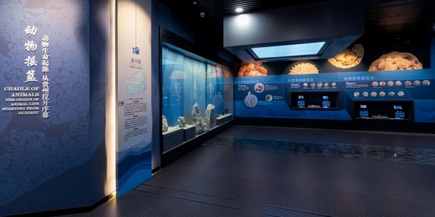 贵州地质博物馆-神秘贵州厅：古生物王国