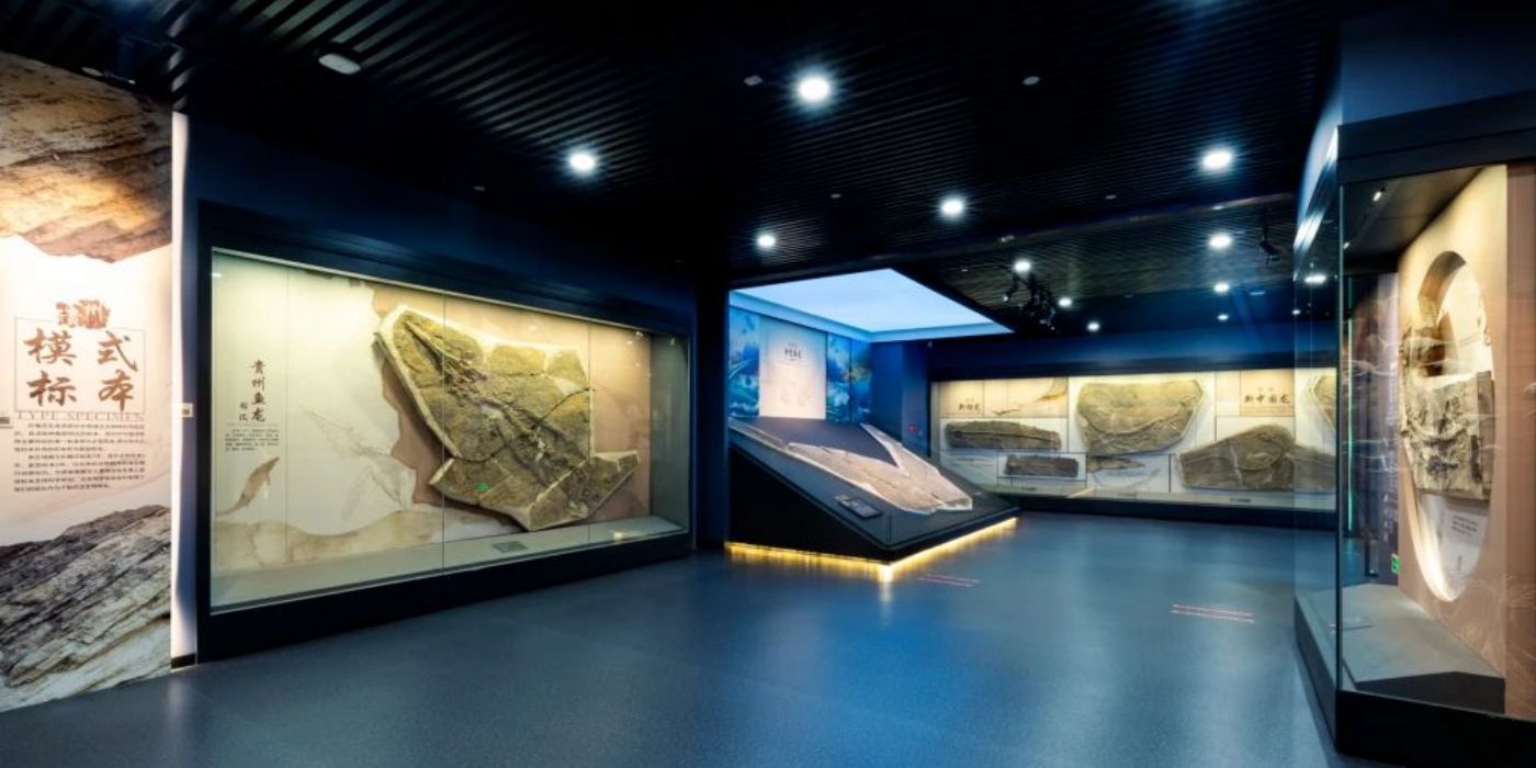 贵州地质博物馆-神秘贵州厅：古生物王国
