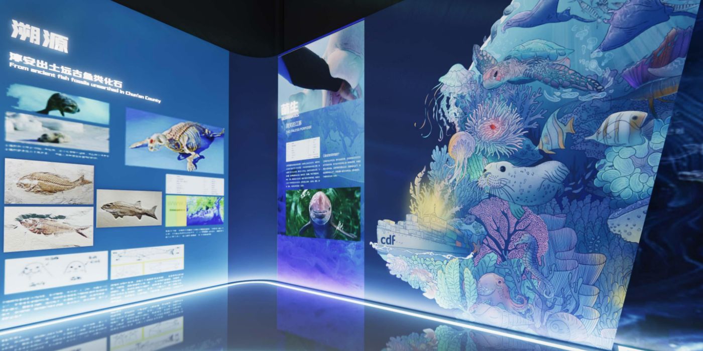 千岛湖鱼博馆：感受千岛湖鱼文化的魅力