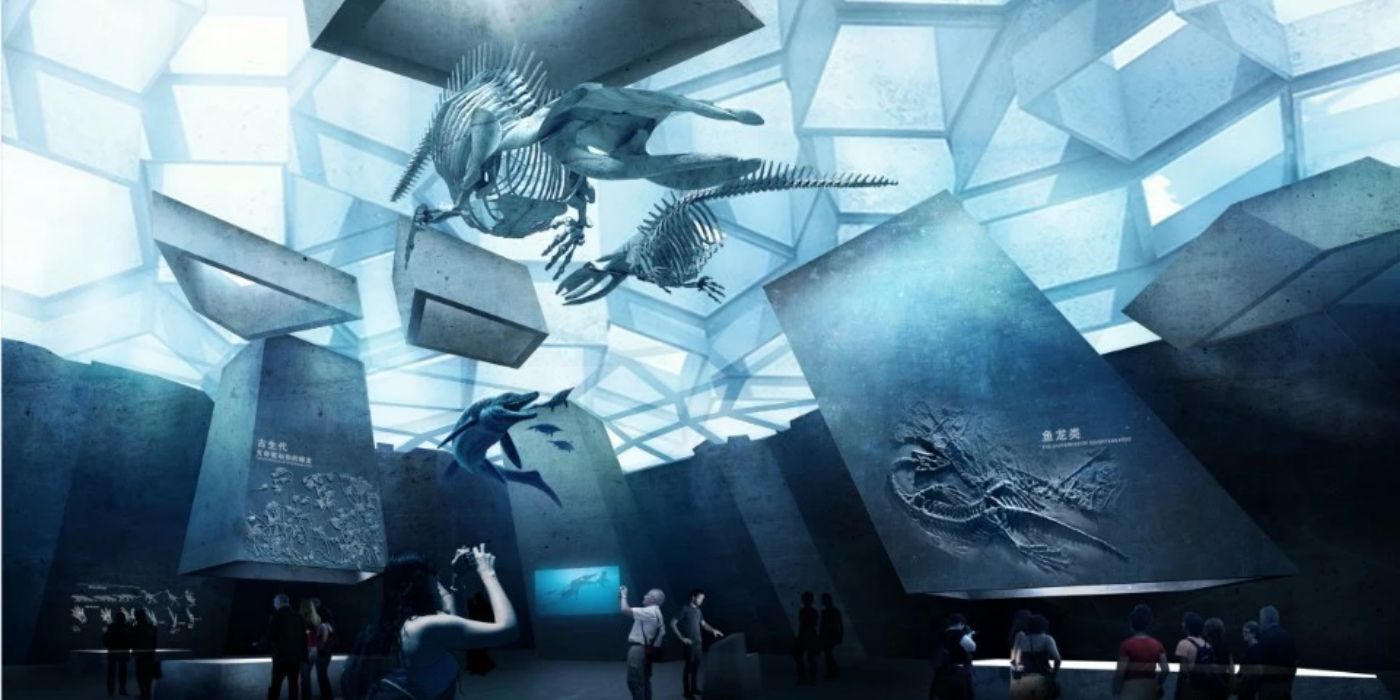 宜昌博物馆新馆：感受巴楚文化的魅力