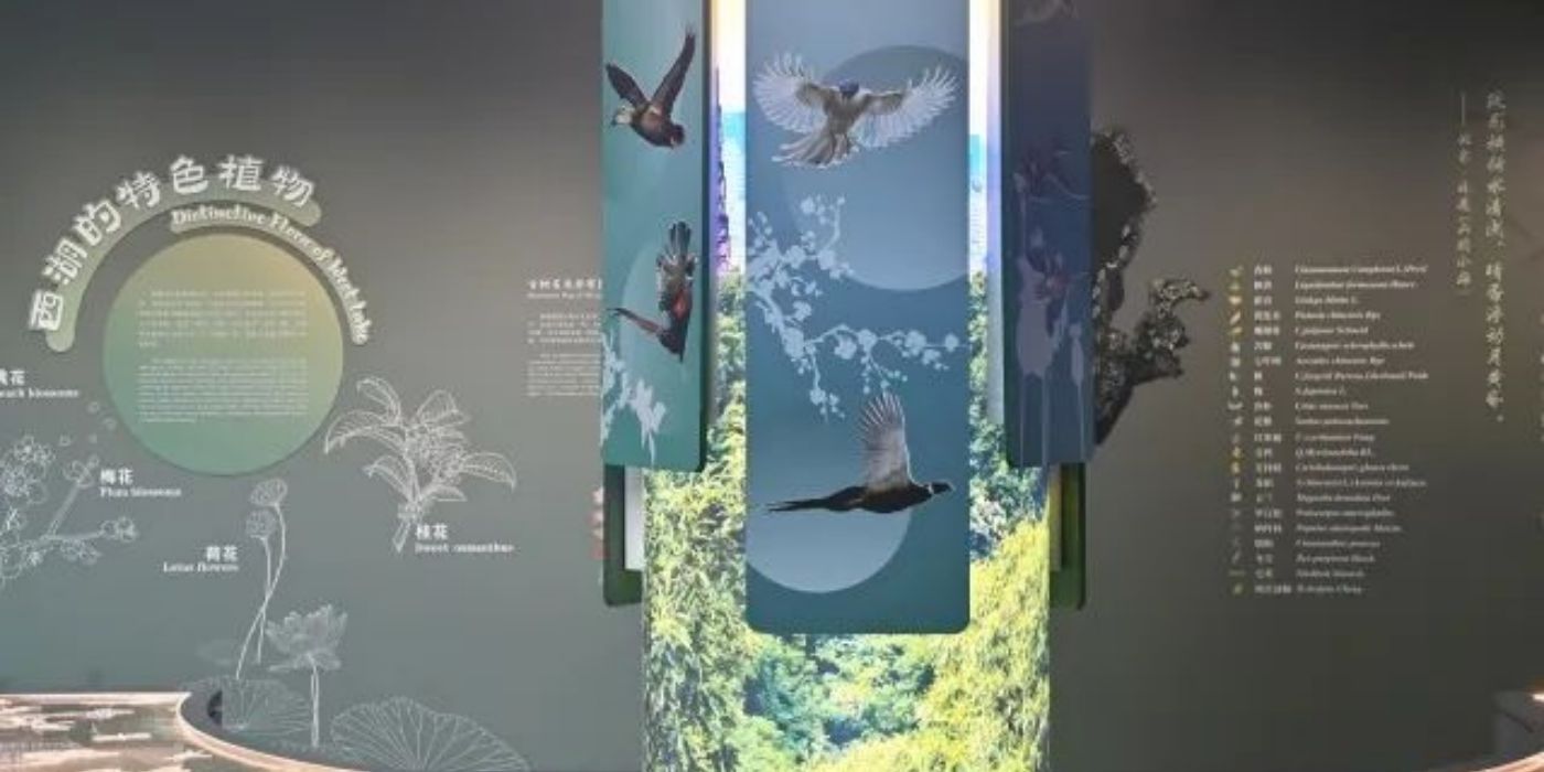 杭州西湖博物馆总馆：一览西湖天下景