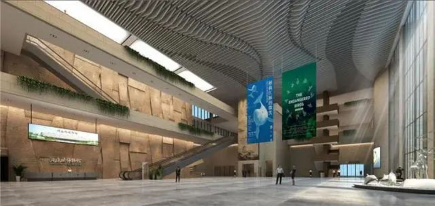 洞庭湖博物馆：尽览八百里洞庭湖风光