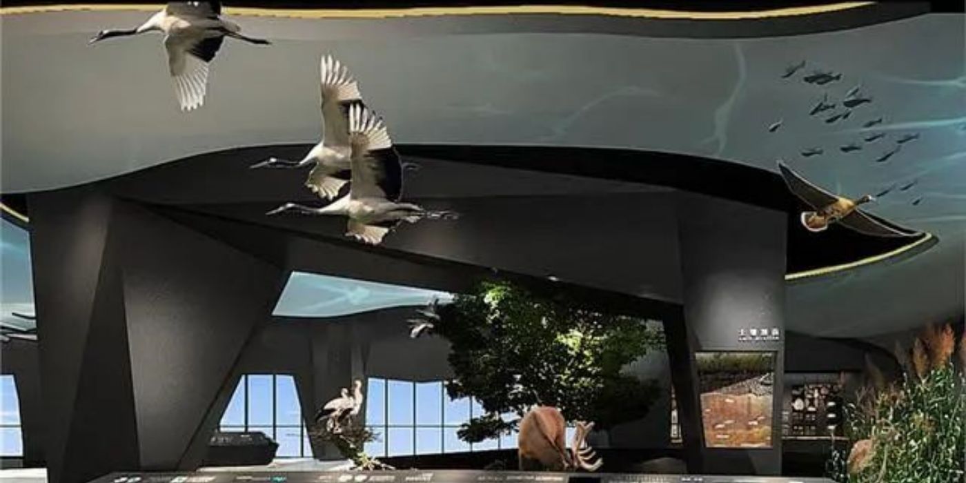 洞庭湖博物馆：尽览八百里洞庭湖风光