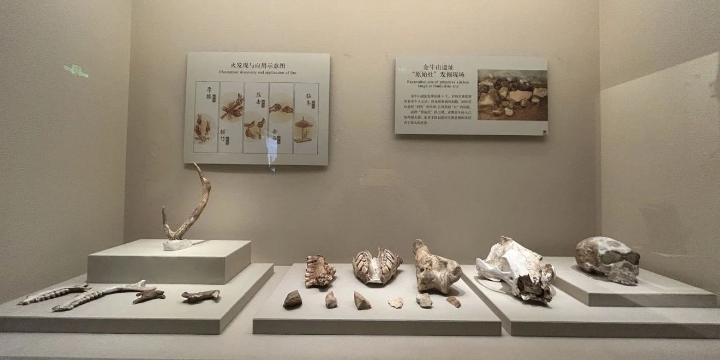 辽宁省博物馆：新中国建立的第一座博物馆