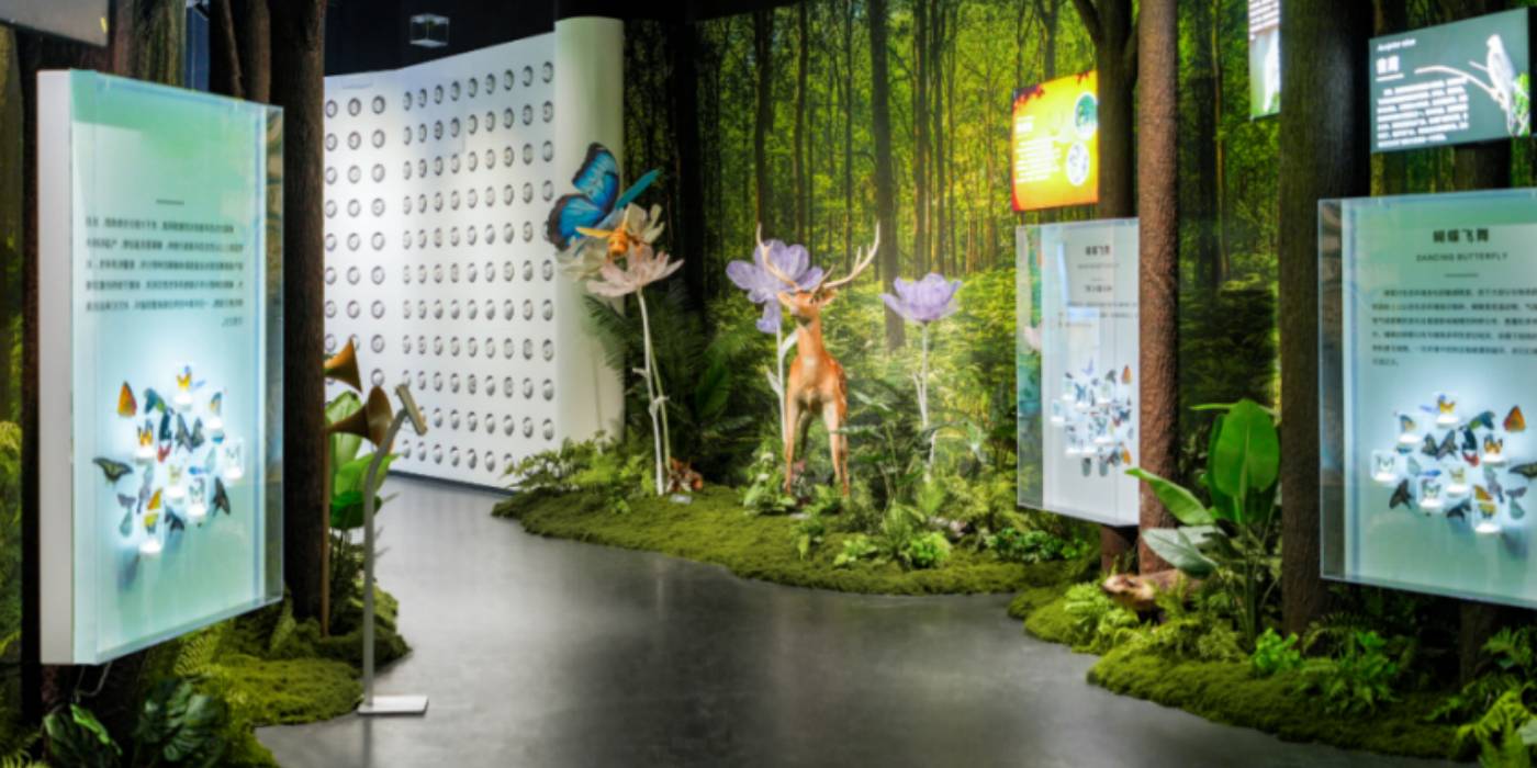 南通环境教育馆：探究生物多样性之旅，践行环保理念