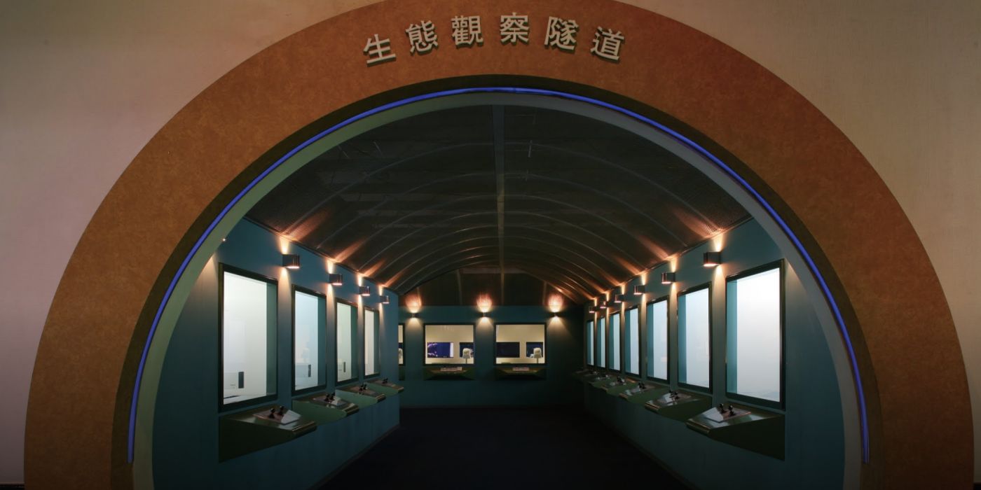 台湾自然科学博物馆：一场自然科学探秘之旅