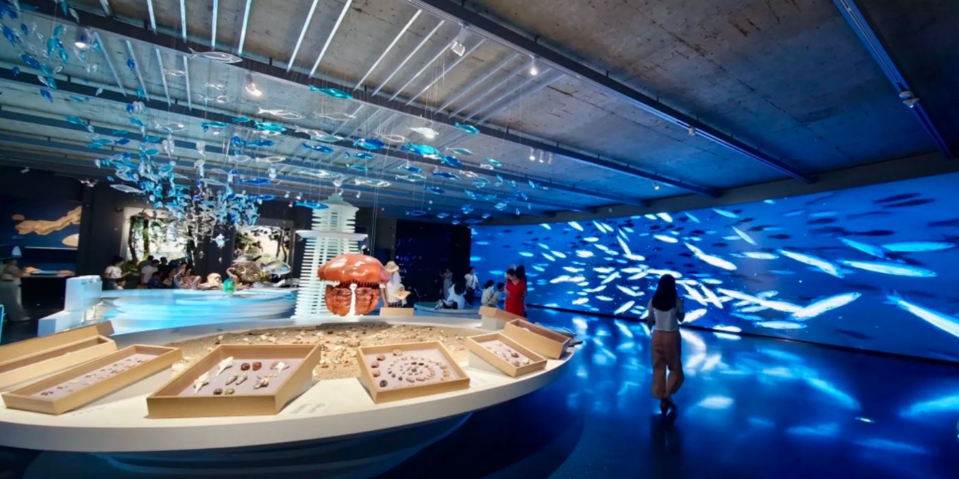 浙江玉环市博物馆：一览传承了三千年的海洋文化