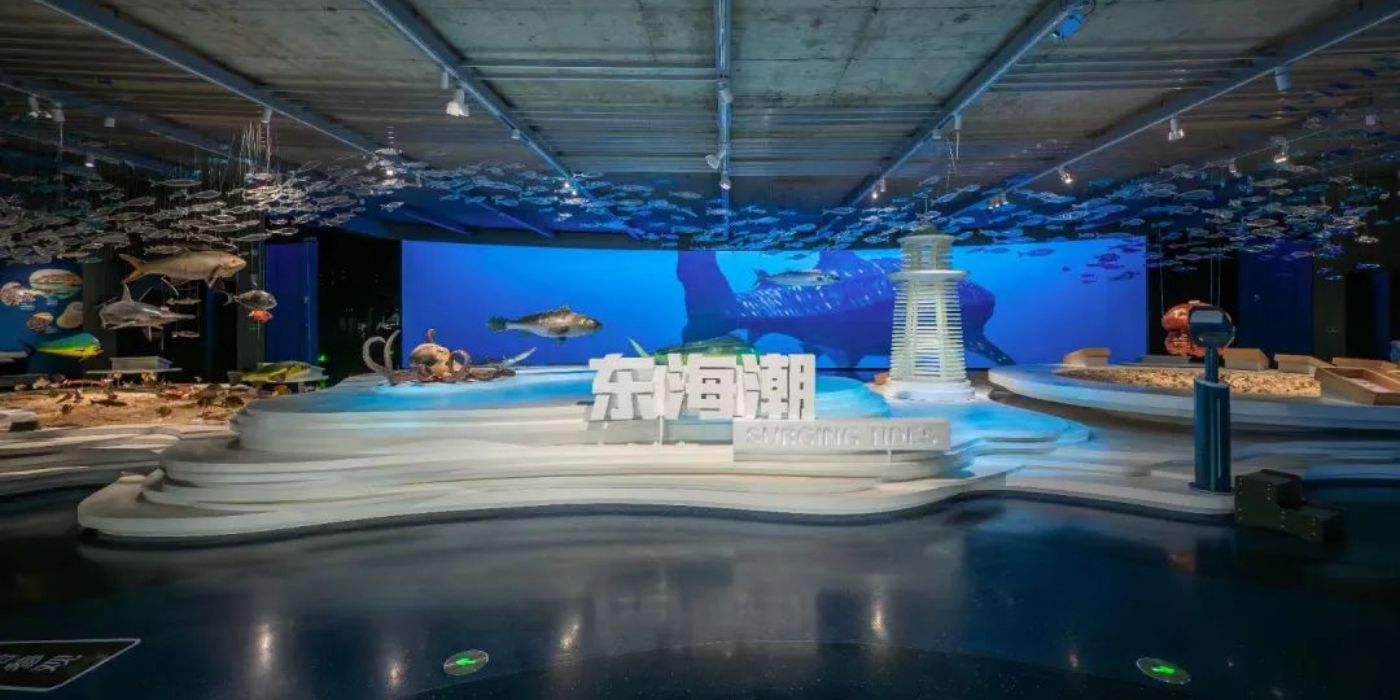 浙江玉环市博物馆：一览传承了三千年的海洋文化