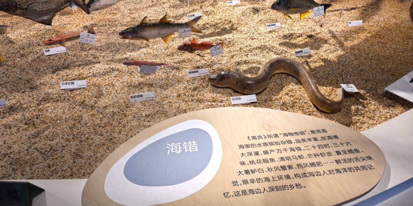 浙江玉环市博物馆：一览传承了三千年的海洋文化