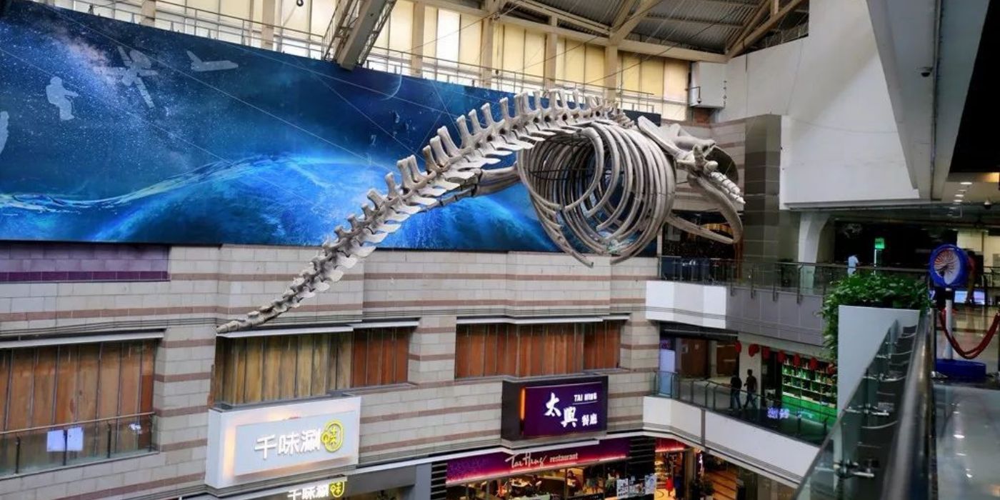 广州市天河区正佳自然科学博物馆：一座建在商场里的国家二级博物馆