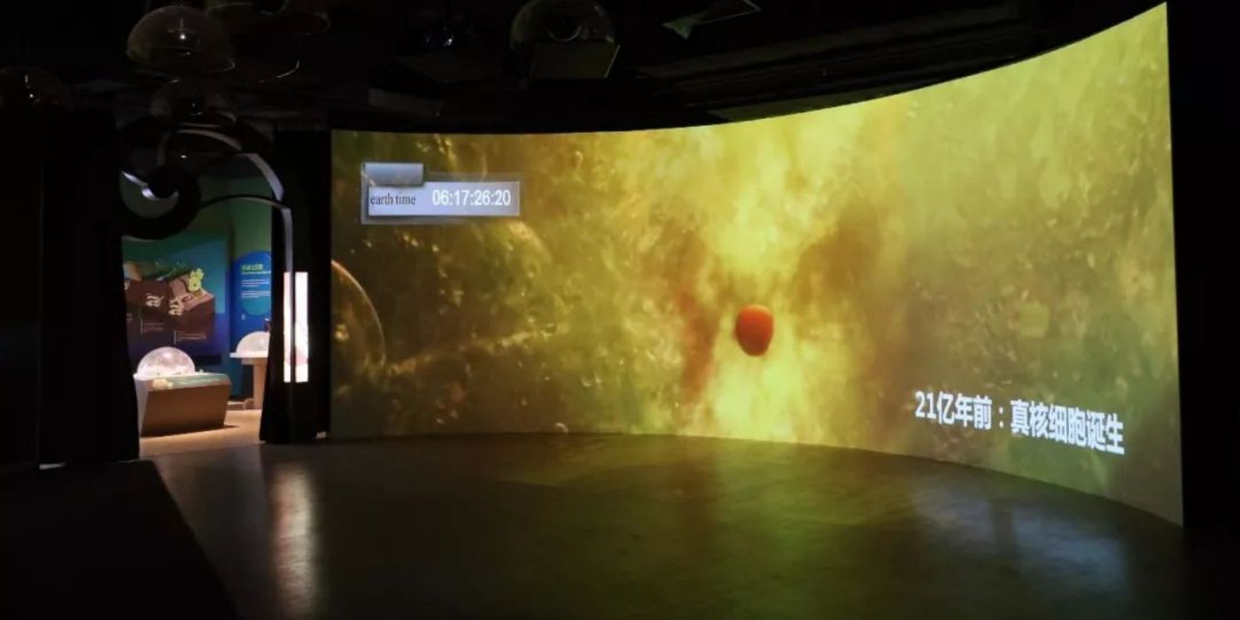 广州市天河区正佳自然科学博物馆：一座建在商场里的国家二级博物馆