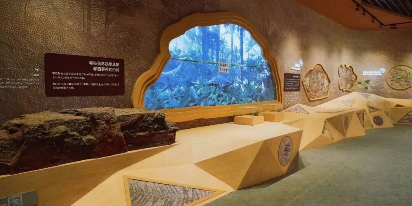 攀枝花苏铁自然遗产保护展示馆：探秘亿年“植物活化石”-攀枝花苏铁
