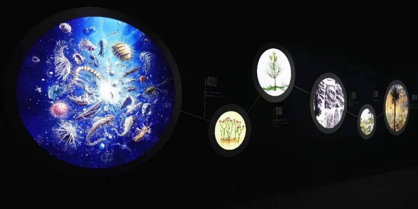 攀枝花苏铁自然遗产保护展示馆：探秘亿年“植物活化石”-攀枝花苏铁