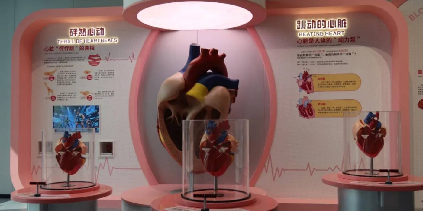 苏州科技馆开馆：体验一场探索“微观世界”神秘旅程