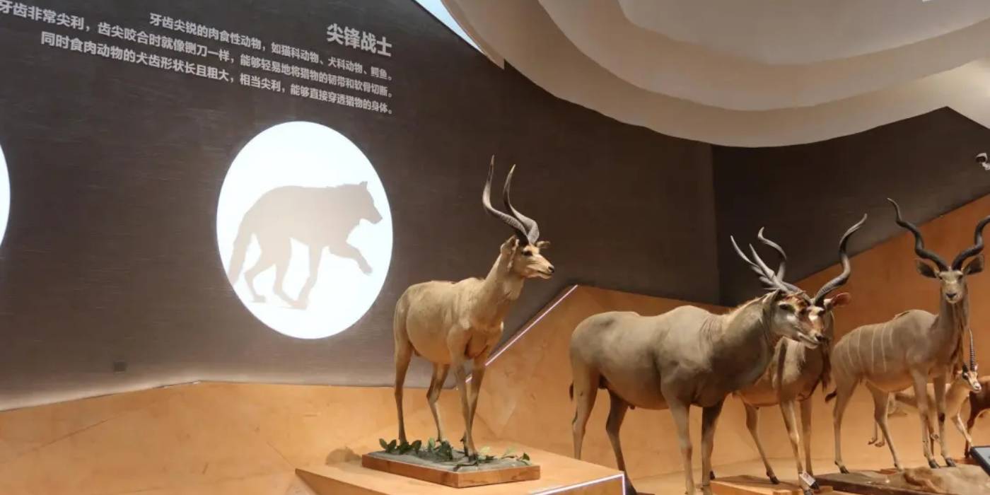 苏州科技馆开馆：体验一场探索“微观世界”神秘旅程