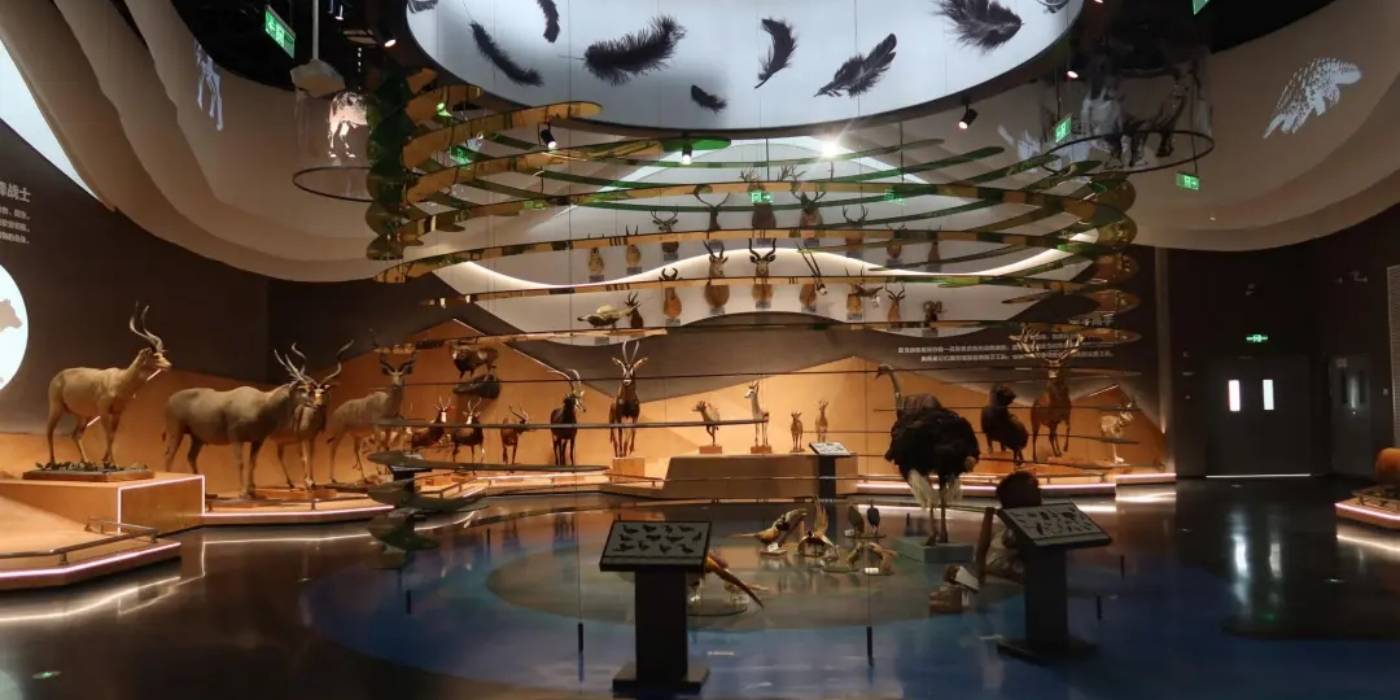 苏州科技馆开馆：体验一场探索“微观世界”神秘旅程