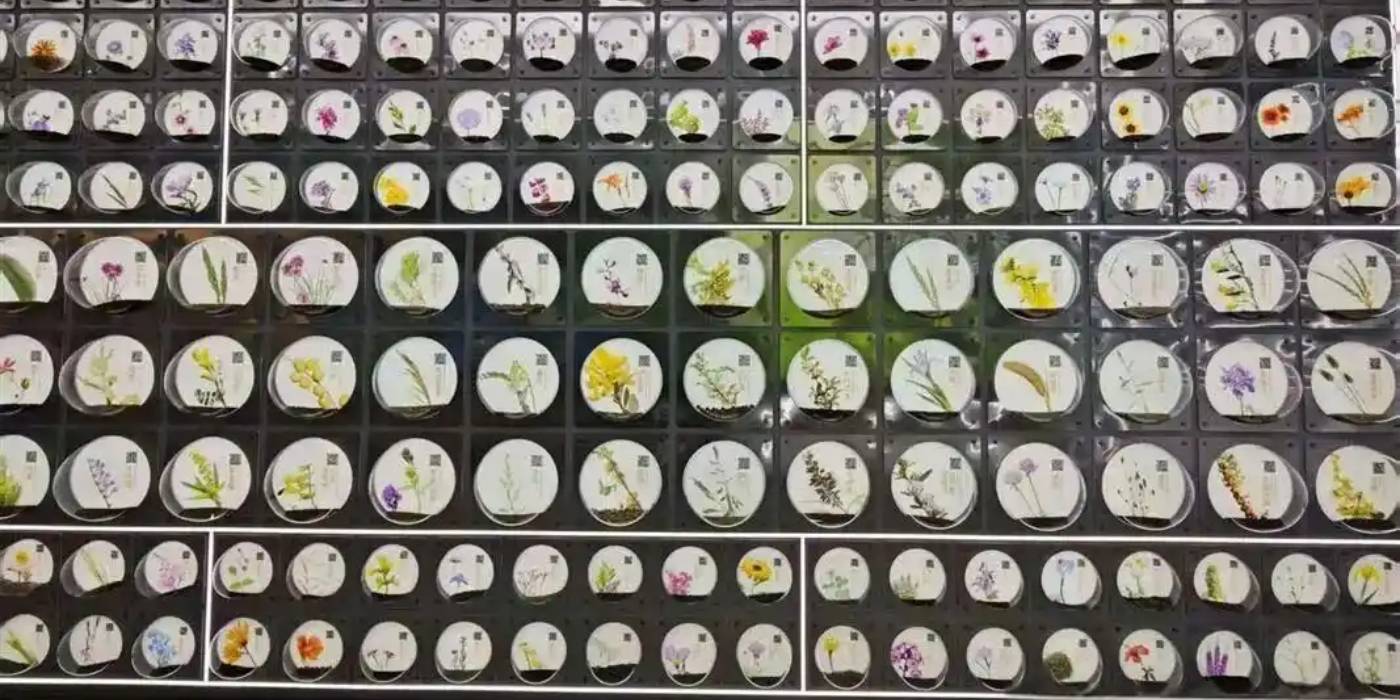 鄂尔多斯科技创新馆：感受鄂尔多斯市科技发展和创新的能力